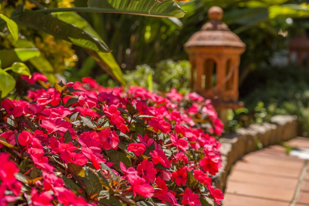 Hotel Spa Bosque Mar Reboredo Zewnętrze zdjęcie
